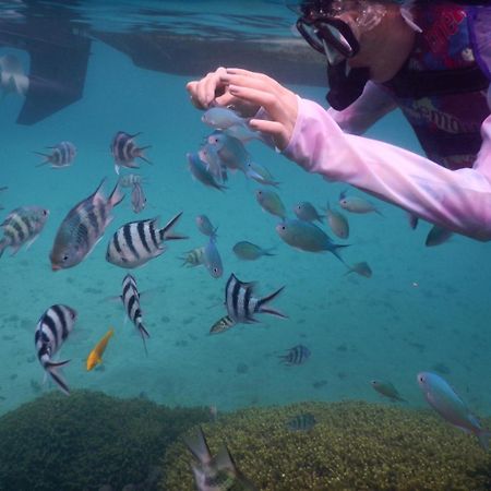 ゲストハウス備瀬の海 Екстериор снимка
