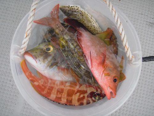 ゲストハウス備瀬の海 Екстериор снимка